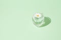 Summer composition with a fresh glass of drink and flowers against a pastel green background. Minimal holiday and drink concept Royalty Free Stock Photo