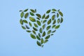 Summer composition. Green leaves arranged in heart shape over blue background. Love concept. Flat lay, top view