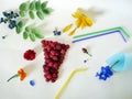 Summer composition installation - a glass of fresh raspberries, cocktail tubes, fresh flowers Royalty Free Stock Photo