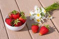 Summer composition made of white bowl full of ripe juicy sweet strawberries and bunch of chamomile flowers Royalty Free Stock Photo