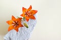 Summer composition with orange lily laying on white porous stone. Image with copy blank space