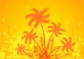 Summer composition, orange palm