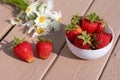 Summer composition with red appetizing strawberries in bowl and bunch of chamomile flowers Royalty Free Stock Photo