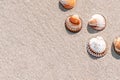 Summer concept background with seashells, shells on sand tropical sea beach. Design of summer vacation holiday concept. Royalty Free Stock Photo