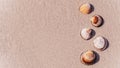 Summer concept background with seashells, shells on sand tropical sea beach. Design of summer vacation holiday concept. Royalty Free Stock Photo