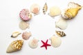 Summer concept background. Trendy natural organic color seashells, red starfish isolated on white backdrop. Shells in Royalty Free Stock Photo