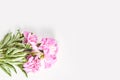 Summer concept. beautiful frame of pink peony flowers on a white background. top view, flat lay Royalty Free Stock Photo