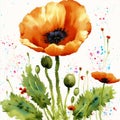 Summer concept. Beautiful watercolor Poppies. A radiant Poppies. Natures Beauty. Generative AI