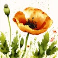Summer concept. Beautiful watercolor Poppies. A radiant Poppies. Natures Beauty. Generative AI