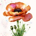 Summer concept. Beautiful watercolor Poppies. A radiant Poppies. Natures Beauty. Generative AI