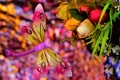 Summer concept, dragonfly flies on a bouquet of flowers, on a rainbow bokeh background. Flowers garden decoration pleasing to the
