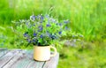 summer concept Fresh bouquet of blue flowers in a yellow mug, on the background of old boards and green grass. Copy space Royalty Free Stock Photo