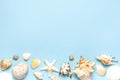 Summer concept, marine background. Different seashells and starfish on pastel blue background. Top view, flat lay, copy Royalty Free Stock Photo