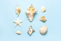 Summer concept, marine background. Different seashells and starfish on pastel blue background. Top view, flat lay, copy Royalty Free Stock Photo