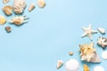 Summer concept, marine background. Different seashells and starfish on pastel blue background. Top view, flat lay, copy space. Sea Royalty Free Stock Photo