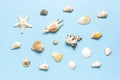 Summer concept, marine background. Different seashells and starfish on pastel blue background. Top view, flat lay, copy space. Sea Royalty Free Stock Photo