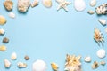 Summer concept, marine background. Frame of different seashells and starfish on pastel blue background. Top view, flat lay, copy Royalty Free Stock Photo