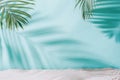 Summer concept. Palm tree shadow on a blue background. Royalty Free Stock Photo