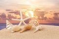 Summer concept with sandy beach, shells and starfish.selective focus. Royalty Free Stock Photo
