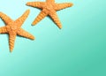 Summer concept with starfish overhead view Royalty Free Stock Photo