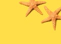 Summer concept with starfish overhead view Royalty Free Stock Photo