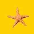 Summer concept with starfish overhead view Royalty Free Stock Photo