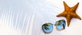 Summer concept, starfish shell and sunglasses on the tropical beach sand, with copy space Royalty Free Stock Photo