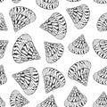 Summer concept with Unique museum sea shells sea snails. Sketch black contour isolated on white background. Can be used for