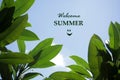 Summer concept. Welcome summer text in the blue sky with nature green frangipani leaves frame. High nature top view with notes. Royalty Free Stock Photo