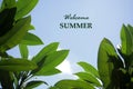 Summer concept. Welcome summer text in the blue sky with nature green frangipani leaves frame. High nature top view with notes Royalty Free Stock Photo