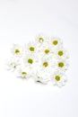 Summer concept: Wild daisy flowers on the white table, selective focus image Royalty Free Stock Photo