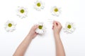 Summer concept: Wild daisy flowers on the white table, selective focus image Royalty Free Stock Photo