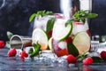 Summer cool alcoholic cocktail raspberry mojito cocktail with li Royalty Free Stock Photo