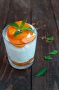 Summer cottage cheese dessert with fresh apricots Royalty Free Stock Photo