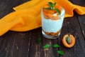 Summer cottage cheese dessert with fresh apricots Royalty Free Stock Photo