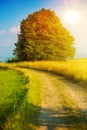 Summer Country Road Royalty Free Stock Photo