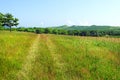 Summer country road landscape Royalty Free Stock Photo