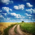 Summer country road and wheath fields. Royalty Free Stock Photo