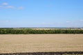 Summer countryside along the road in sunny day Royalty Free Stock Photo