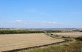 Summer countryside along the road in sunny day Royalty Free Stock Photo