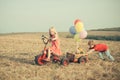 Summer at countryside. Childhood concept. Eco farm. Nature and children lifestyle. Happy kid on summer field. sweet