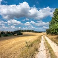 Summer countryside with dirt road and blue sky with clouds Royalty Free Stock Photo