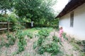 Summer in a countryside - girl in a garden Royalty Free Stock Photo