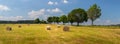 summer landscape with a field with straw bales, a tree avenue by the road and blue sky with white clouds, sunny day Royalty Free Stock Photo