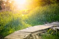 Summer countryside landscape with small pier