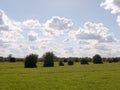 A summer countryside scene outside in essex england of the uk wi Royalty Free Stock Photo