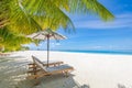 Summer couple destination scenic beach beds chairs umbrella palms. Love romantic travel landscape Royalty Free Stock Photo