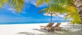 Summer couple destination scenic beach beds chairs umbrella palms. Love romantic travel landscape