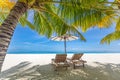 Summer couple destination scenic beach beds chairs umbrella palms. Love romantic travel landscape