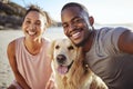 Summer, couple and dog on beach selfie in Canada sun with happiness, love and care for pet. Black people, holiday and Royalty Free Stock Photo